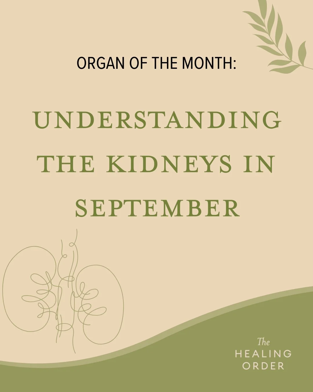 💧 September&rsquo;s Organ of the Month: The Kidneys! ⏰ 5&ndash;7 pm is Kidney Time&mdash;perfect for recharging your energy and nourishing your essence (Jing). Take a moment to rest, enjoy warm foods, and move mindfully. Protect your vitality and ke