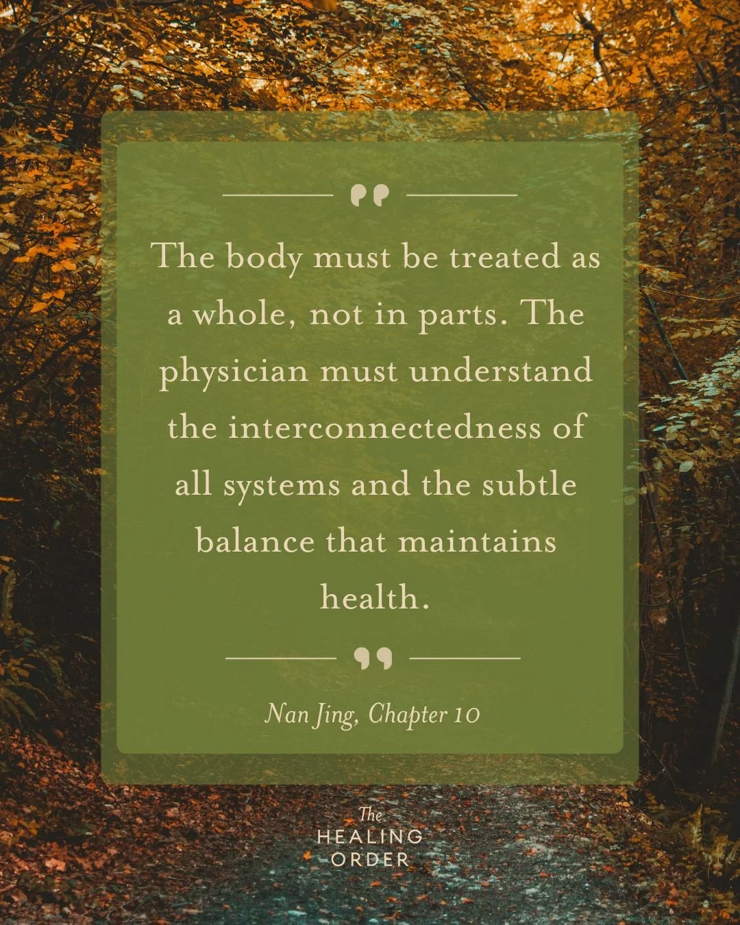 True healing begins when we see the body not as separate systems, but as one connected whole &mdash; a living network of balance and harmony. 🌱