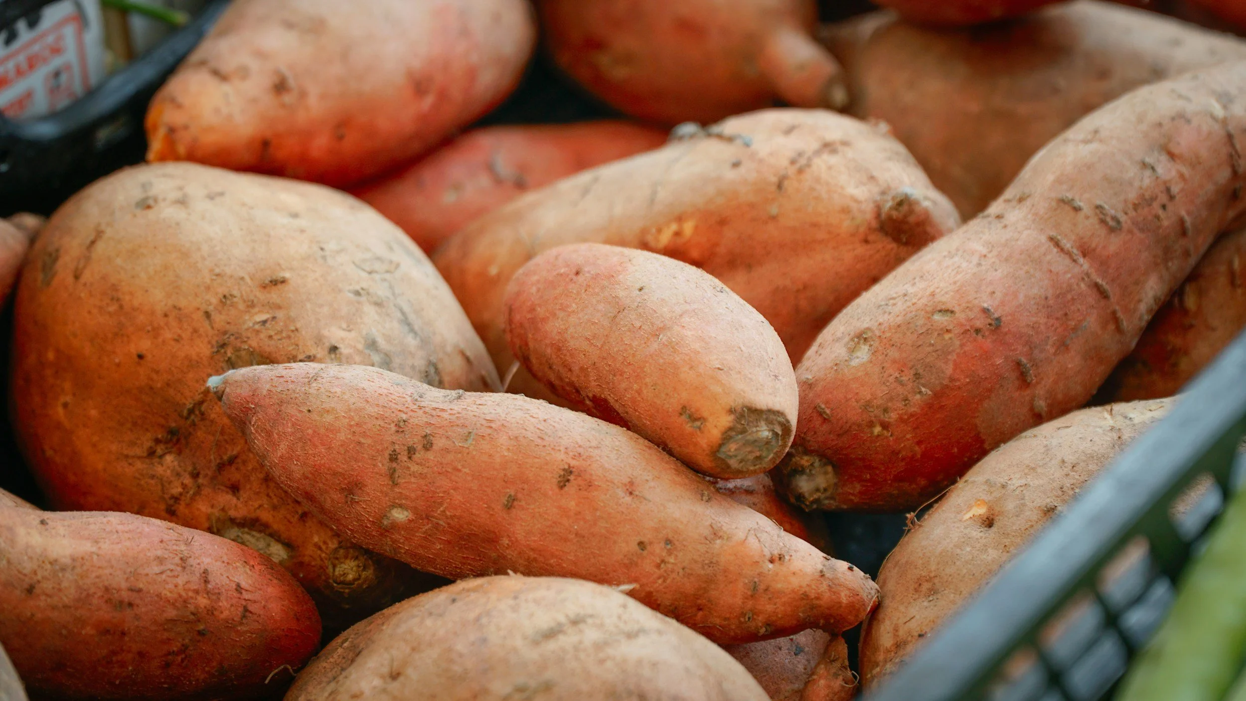 Roasted Sweet Potato & Ginger Soup