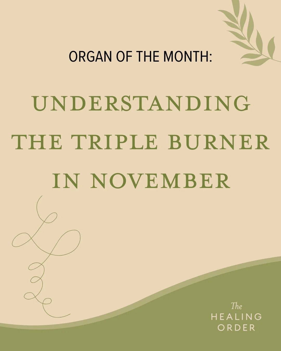 🔥 November&rsquo;s Organ of the Month: The Triple Burner!

Unlike other organs, the Triple Burner isn&rsquo;t a physical structure&mdash;it&rsquo;s the body&rsquo;s energetic network, harmonizing the movement of Qi, fluids, and warmth through all th