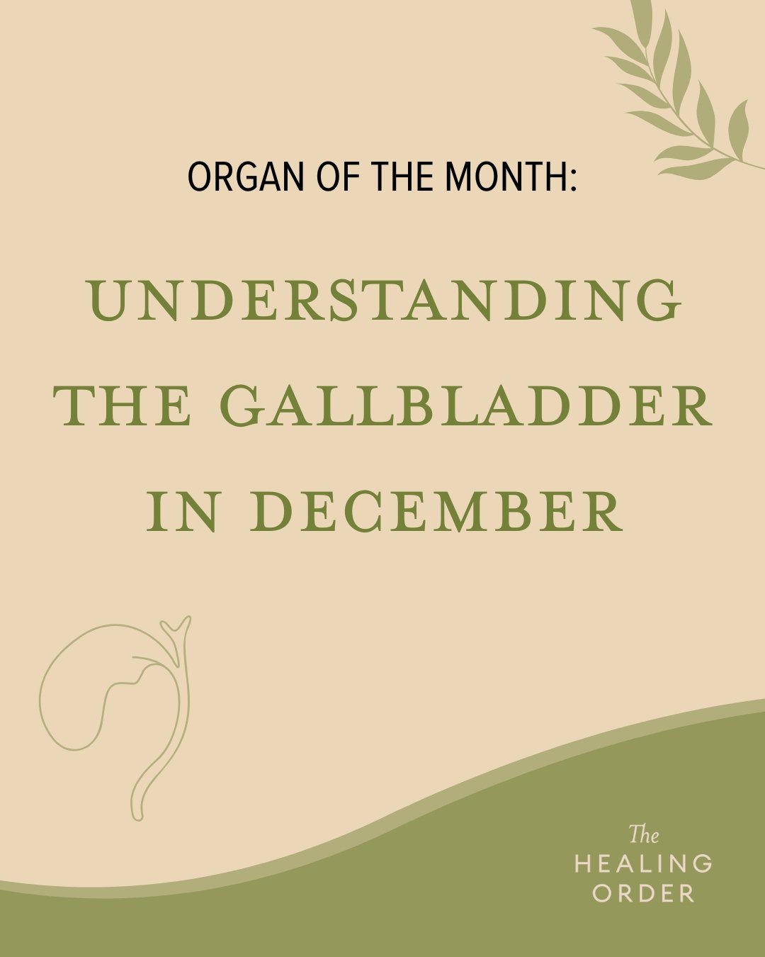 🌿 December&rsquo;s Organ of the Month: The Gallbladder!
Active from 11pm&ndash;1am, the Gallbladder gives us clarity, courage, and the ability to act with confidence. This is the time when the body resets decision-making energy and restores emotiona
