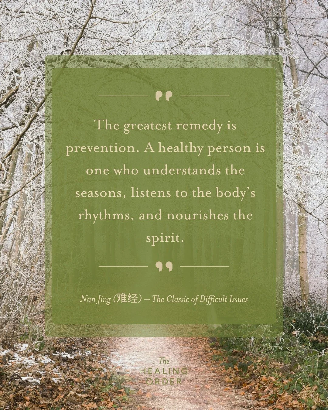 Prevention begins with presence. When we honor the seasons, listen to our bodies, and tend to our spirit, wellness becomes a natural way of living.