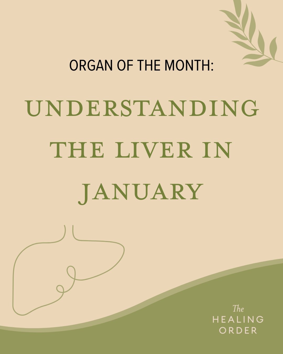 🌿 January&rsquo;s Organ of the Month: The Liver!
Active from 1&ndash;3am, the Liver restores emotional balance, supports the smooth flow of Qi, and processes the day&rsquo;s experiences. Early sleep, gentle evenings, and mindful movement help nouris