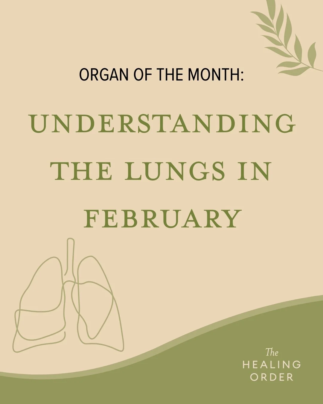 🌬️ February&rsquo;s Organ of the Month: The Lungs!

Active from 3&ndash;5am, the Lungs govern Qi, immunity, and our ability to let go&mdash;physically and emotionally. Support this system with deep rest, breathwork, fresh air, and practices that cul