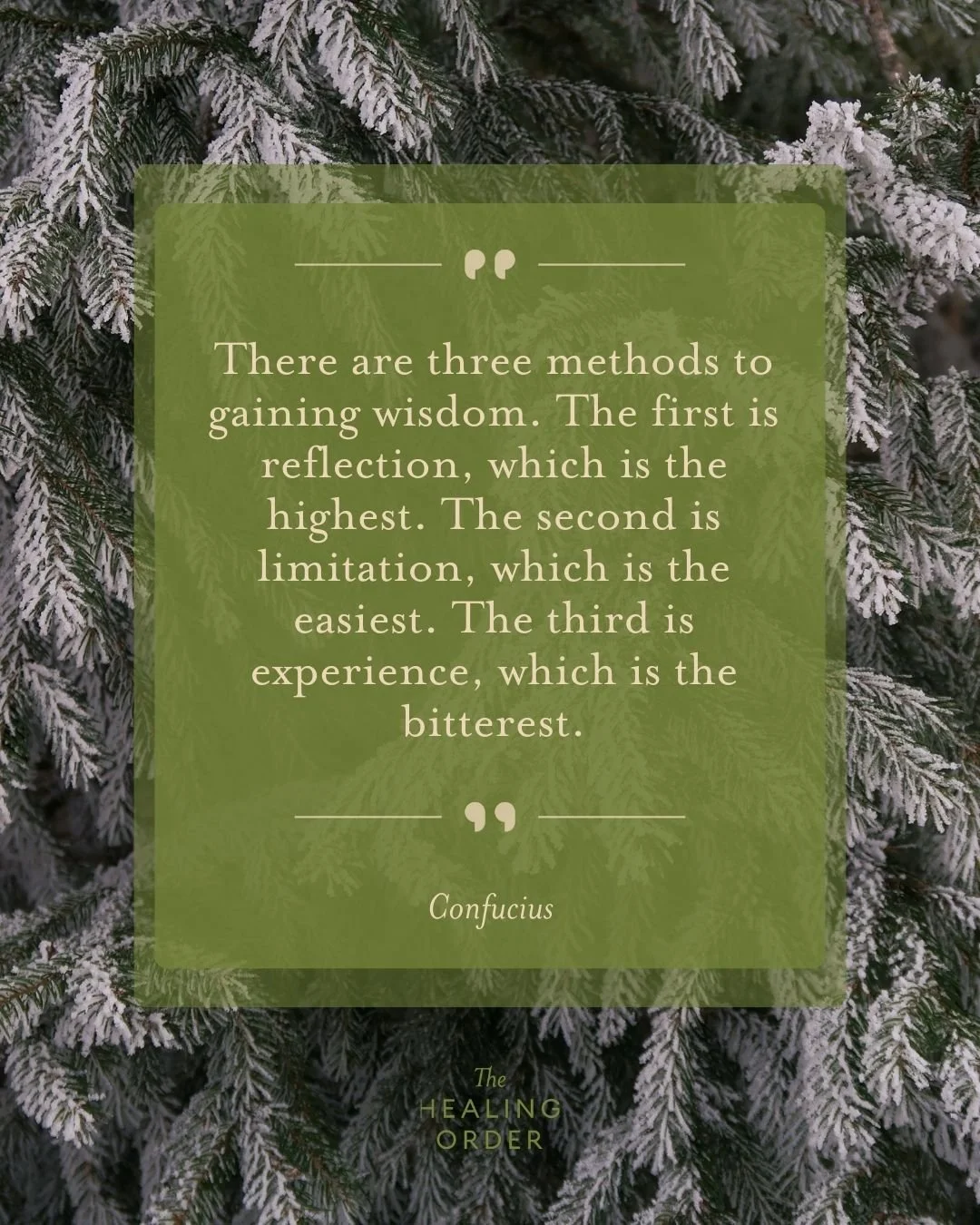 Happy monday everyone ✨