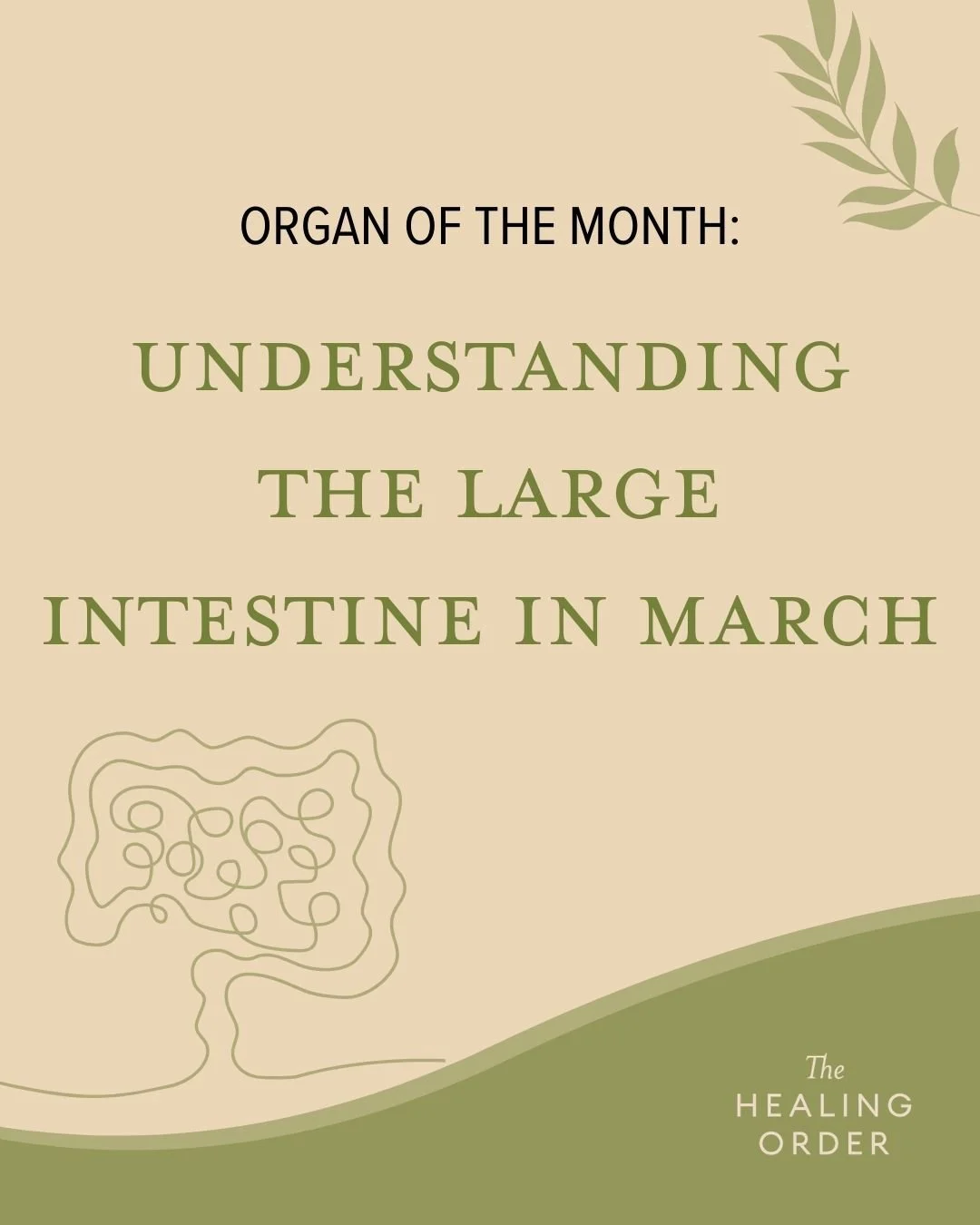 🌬️ March&rsquo;s Organ of the Month: The Large Intestine.

Active from 5&ndash;7am, this system governs elimination, detoxification, and our ability to let go&mdash;physically and emotionally. Supporting healthy morning routines, hydration, and gent