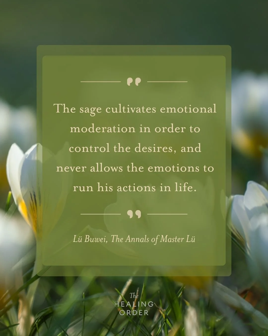 A quiet kind of strength&mdash;
not in suppressing emotion, but in not being ruled by it.

In Chinese medicine, balance isn&rsquo;t about feeling less,
but about letting emotions move without taking over.

✨