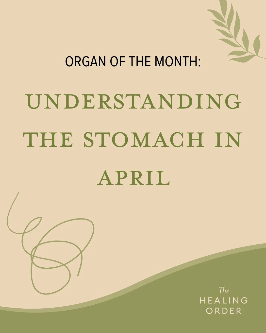 🌾 April&rsquo;s Organ of the Month: The Stomach.
Active from 7&ndash;9am, the Stomach is responsible for receiving and breaking down nourishment&mdash;the foundation of Qi and Blood. Support it with warm, grounding meals, mindful eating, and steady 