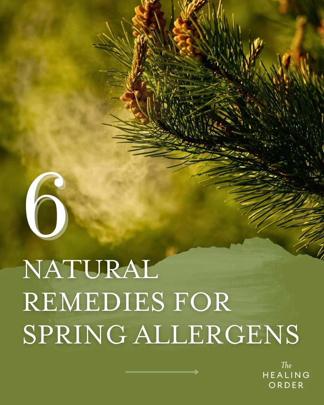 Spring allergies are often seen in Chinese Medicine as a sign that the body is having difficulty adapting to the rapid changes of the season &mdash; wind, pollen, temperature shifts, and increased environmental stimulation.

While each person&rsquo;s
