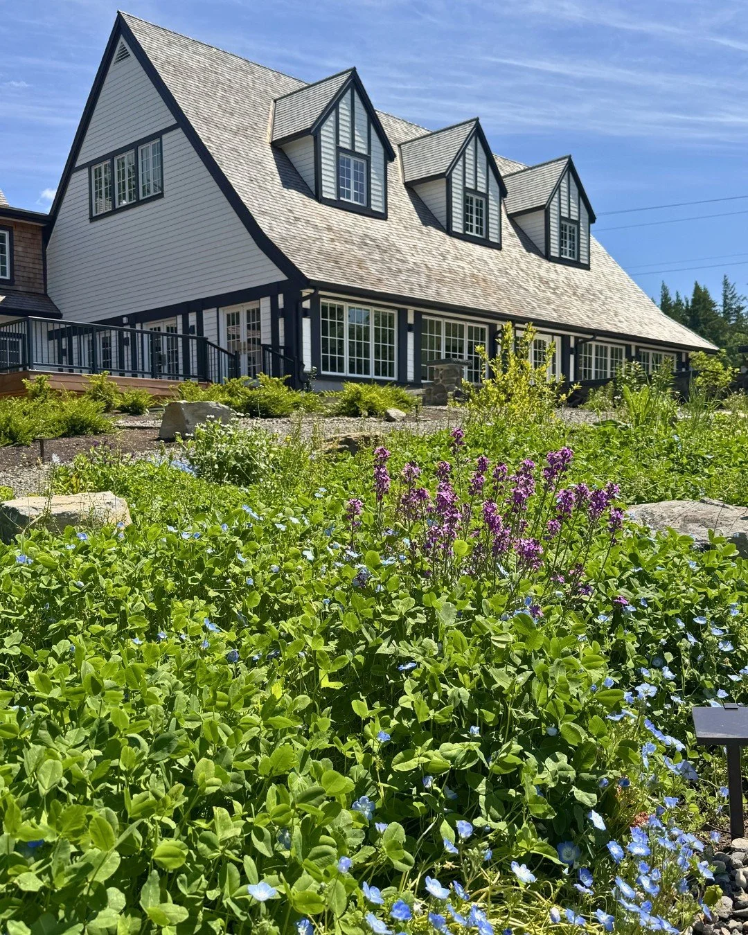 As the grounds around our new home begin to awaken, so too does this next chapter of The Healing Order. We&rsquo;re grateful to witness this space slowly come to life, and excited for all that is still unfolding in the seasons ahead.🌸 🌿

#TheHealin