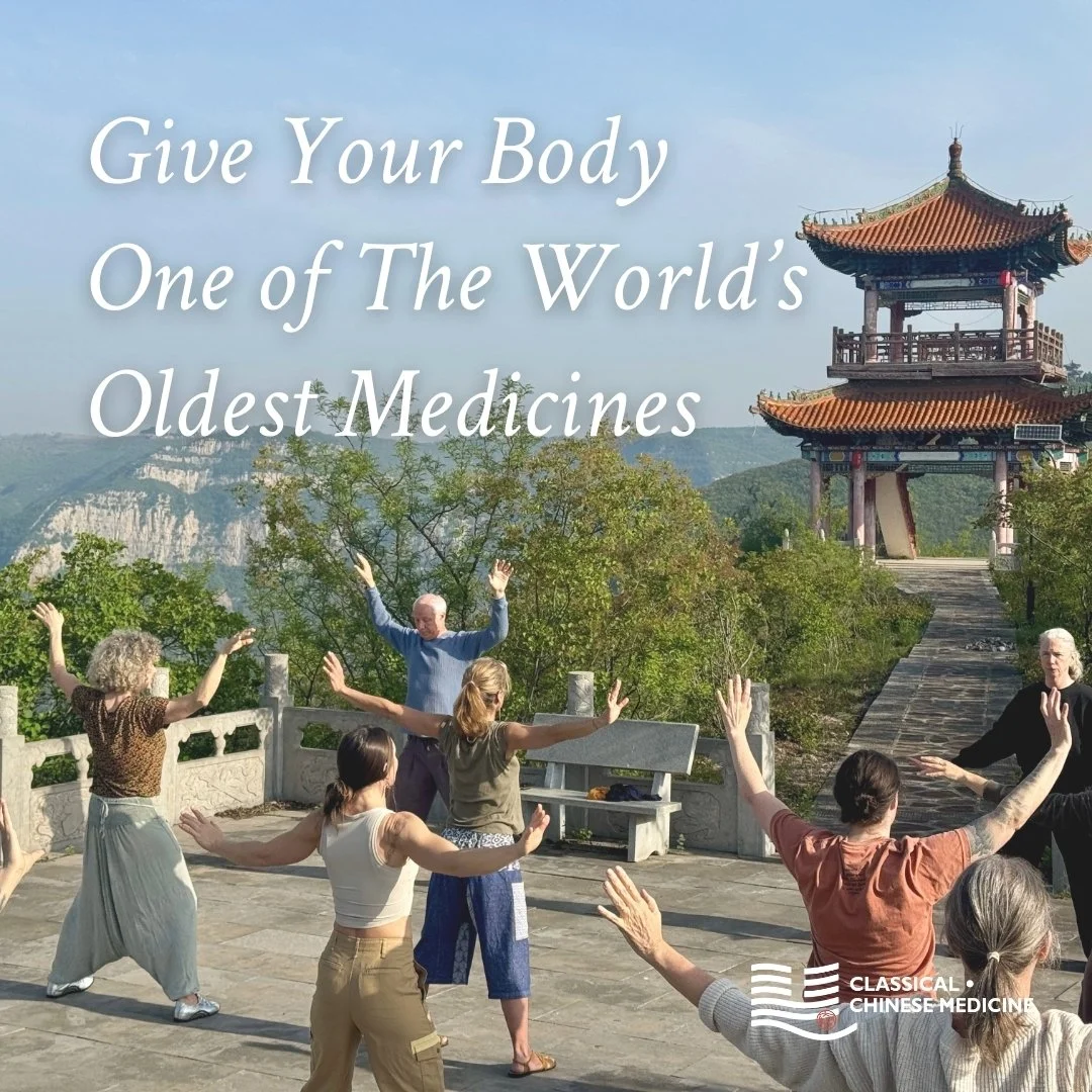 "Tending the Fire Horse" starts June 9th. 

This 10-week qigong series introduces the Jinjian Gong (筋建功), tendon-strengthening breathwork and movement practice, rooted in an unbroken lineage tradition. The tendons are part of a bodywide net