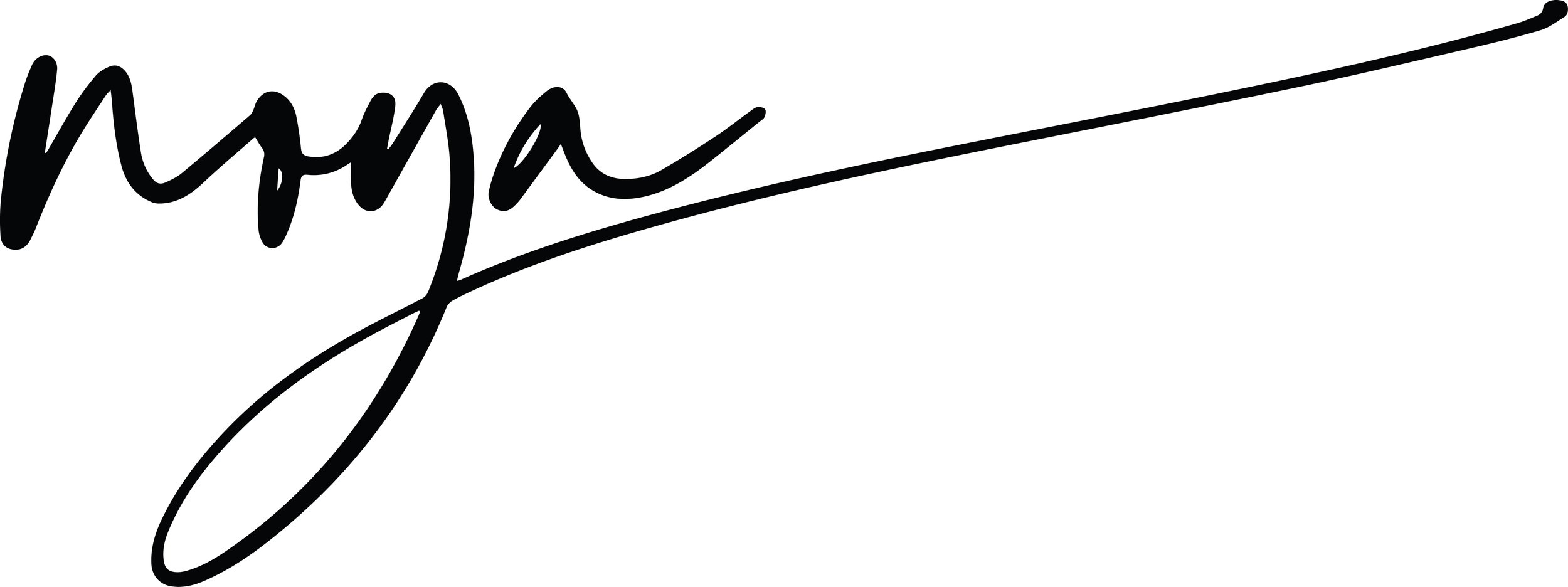 Noya_Logo_BLACK.jpg