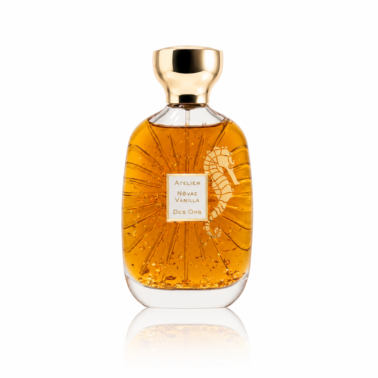 NOVAE VANILLA - Atelier Des Ors