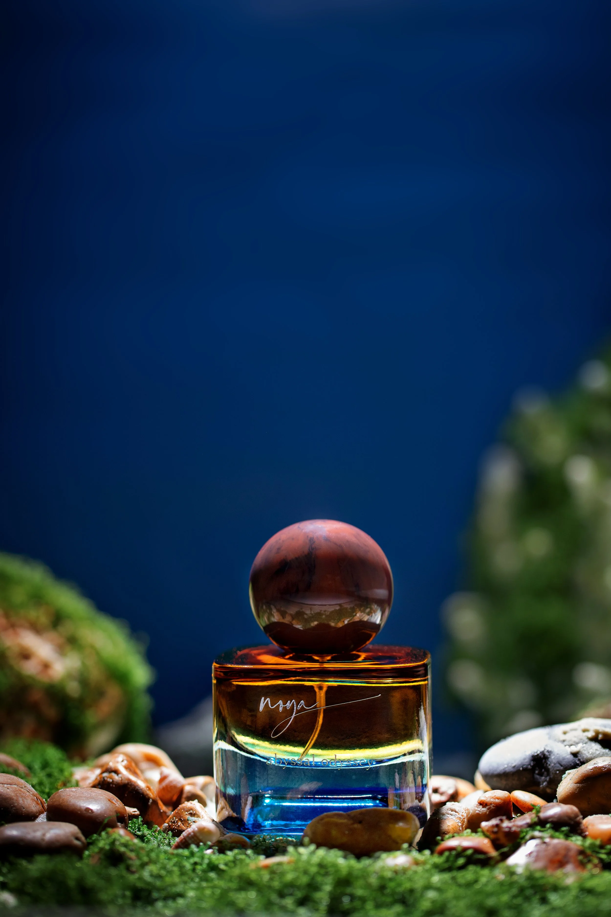 abyssal odissey 4.JPG