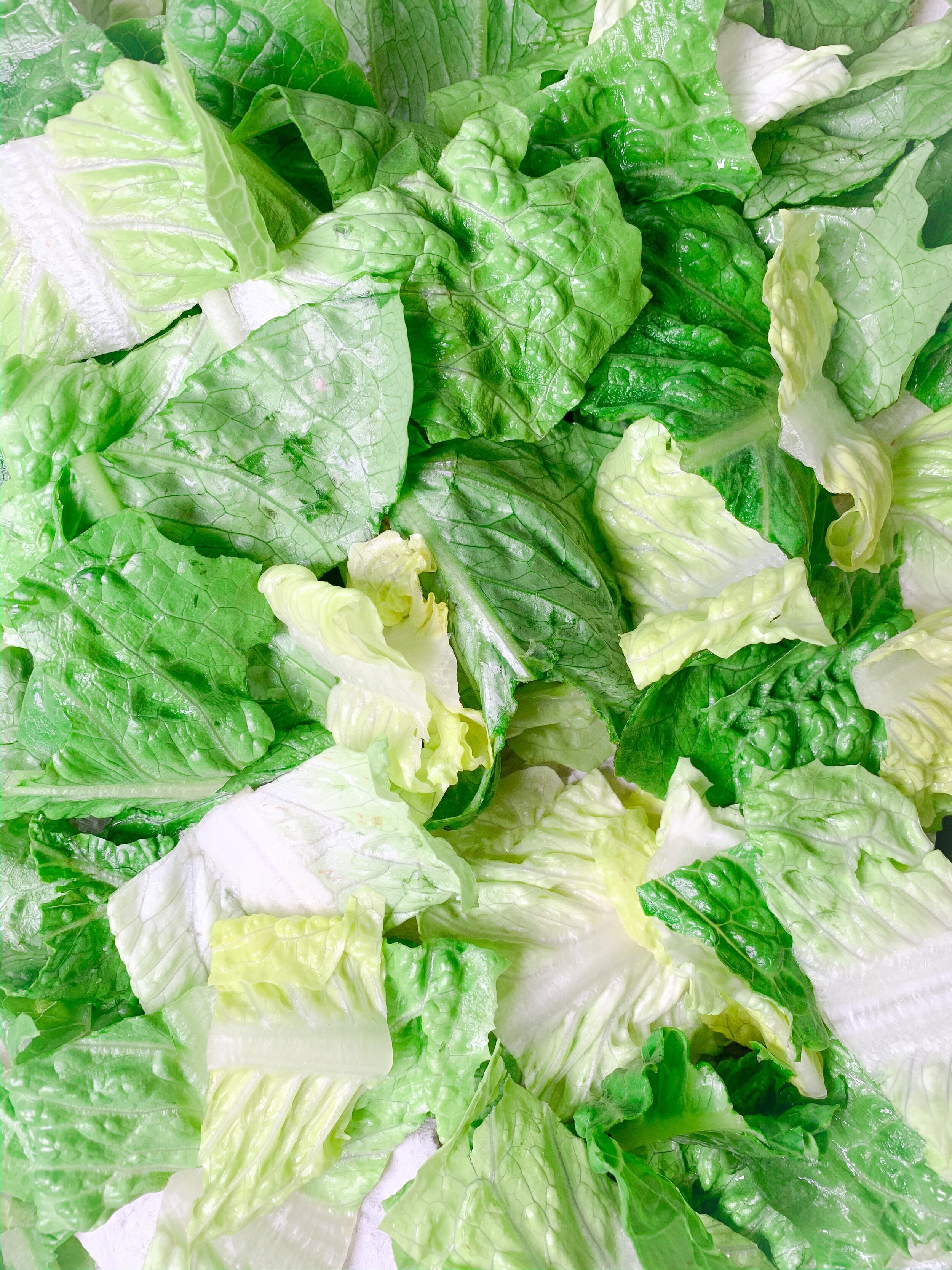 mix salad.jpg