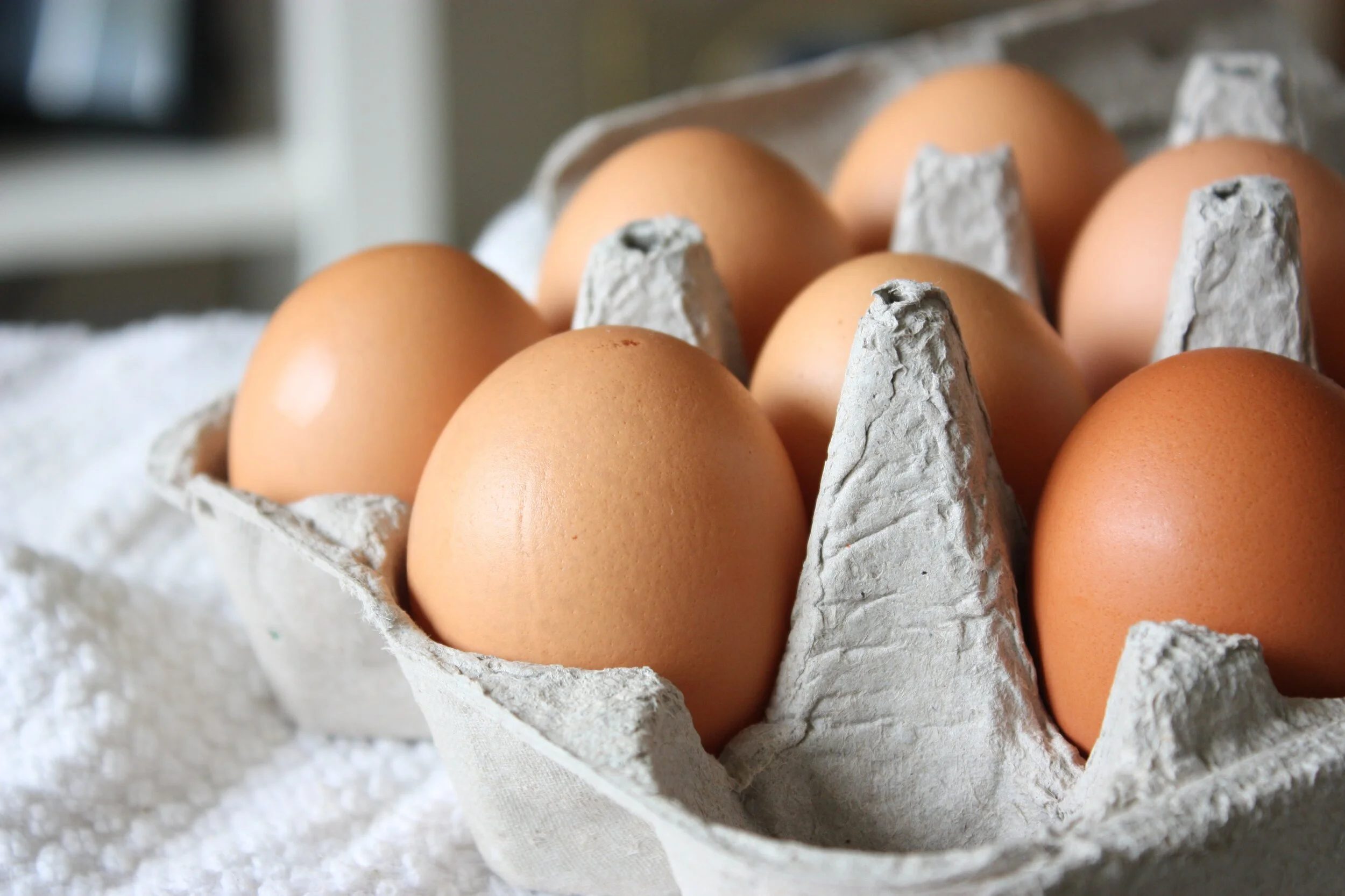 Organic and free-range eggs