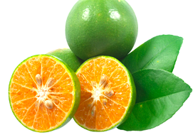 calamansi+nutrition+health+organic+fruit+delivery+London+uk+koldenfruit+koldenkitchen+home+cooking+ eating+fresh-fruit+health+benefits