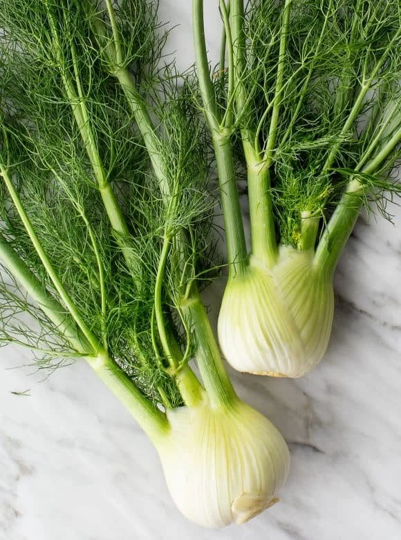 fennel+seasonal+eating+african+vegan+nutrition+superfood+wellbeing+lifestyle+luxury+food+root+ingredient+diet+detox+rich+fibre+natural+source+grocery+delivery+London+england