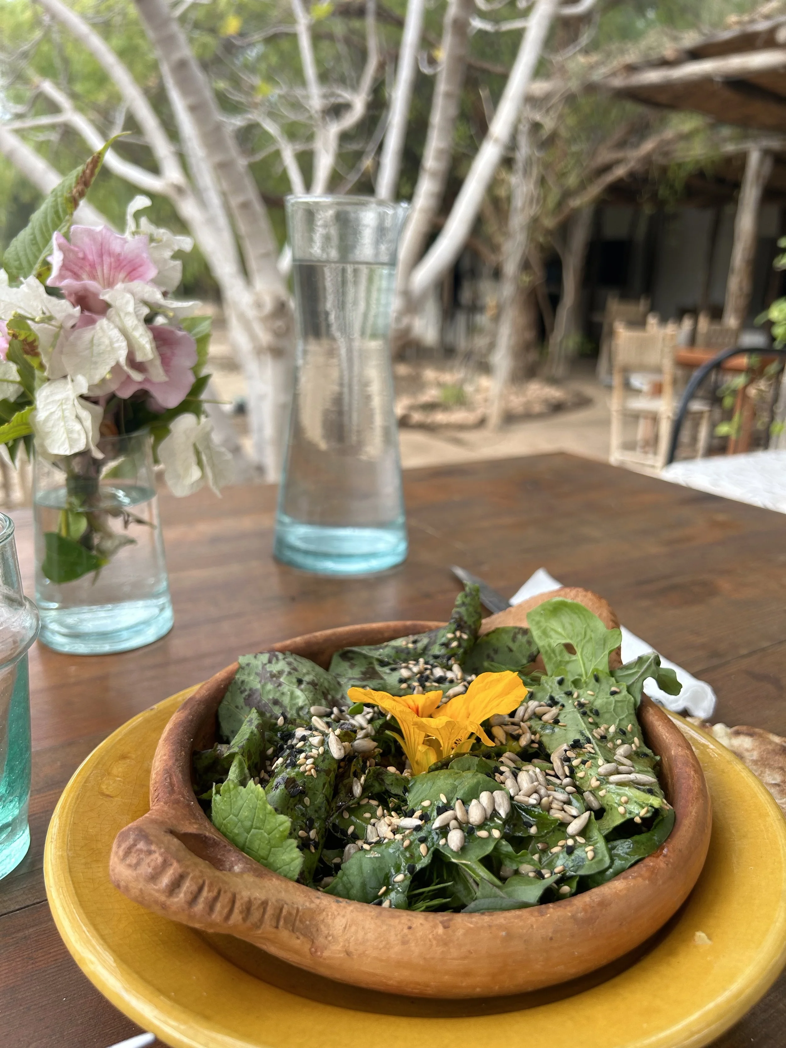 wild salad