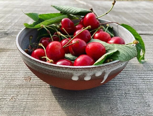 Eigen oogst😍
#cherrytree #redclaylove #gingerceramics