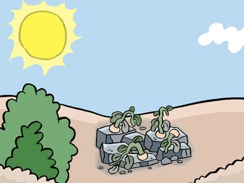 04_FB_DM_Parable_Sower_Thumbnail.jpg
