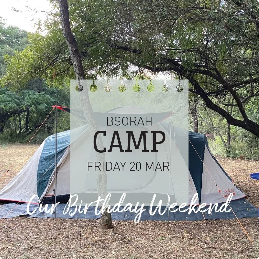 Our Birthday Camp Out