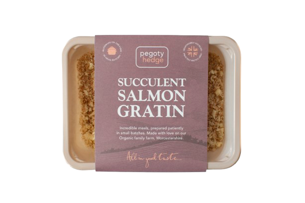 Succulent Spinach and Salmon Gratin