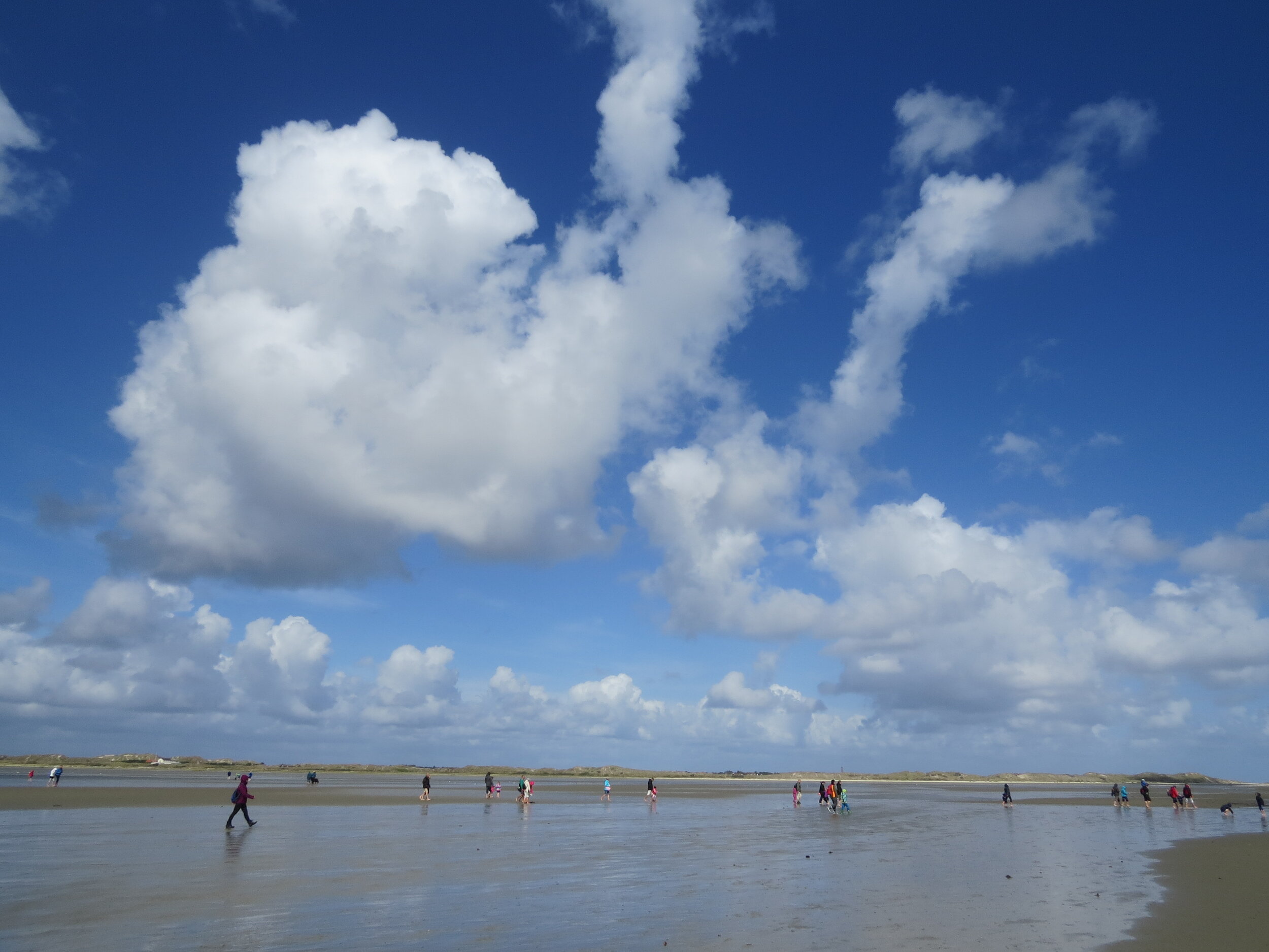 STOP PRESS: UNWTO ANNOUNCES CALL FOR ACTION FOR TOURISM 