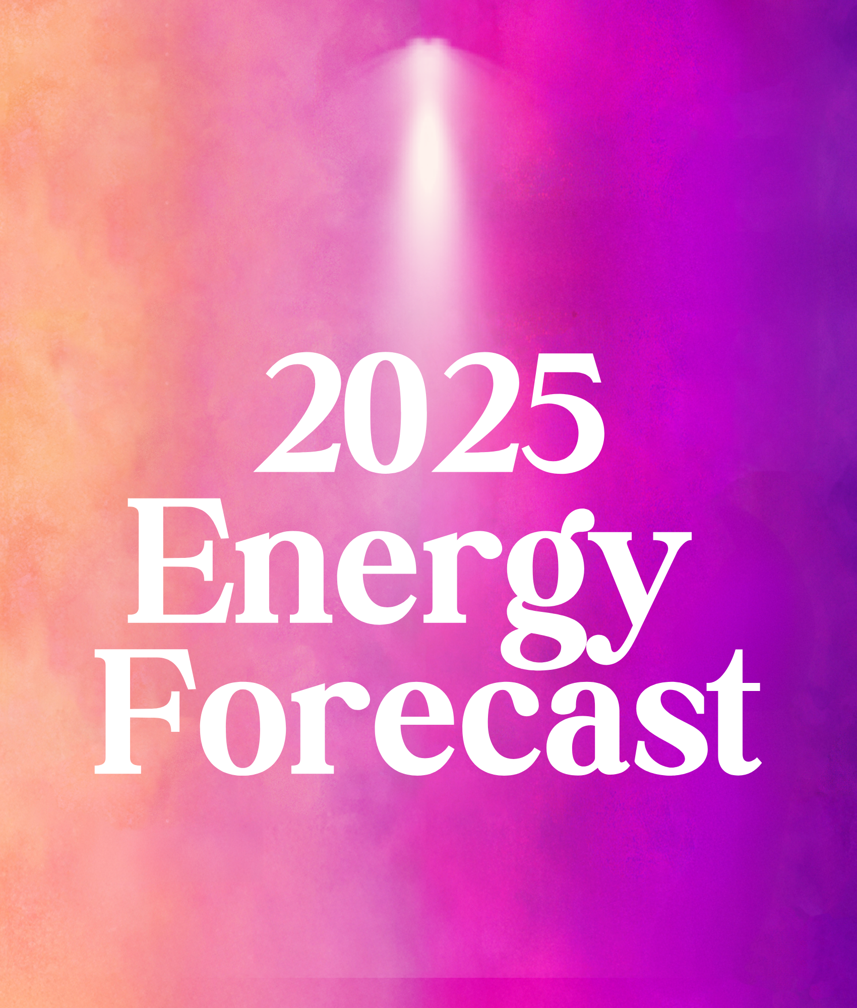 2025 Energy Forecast