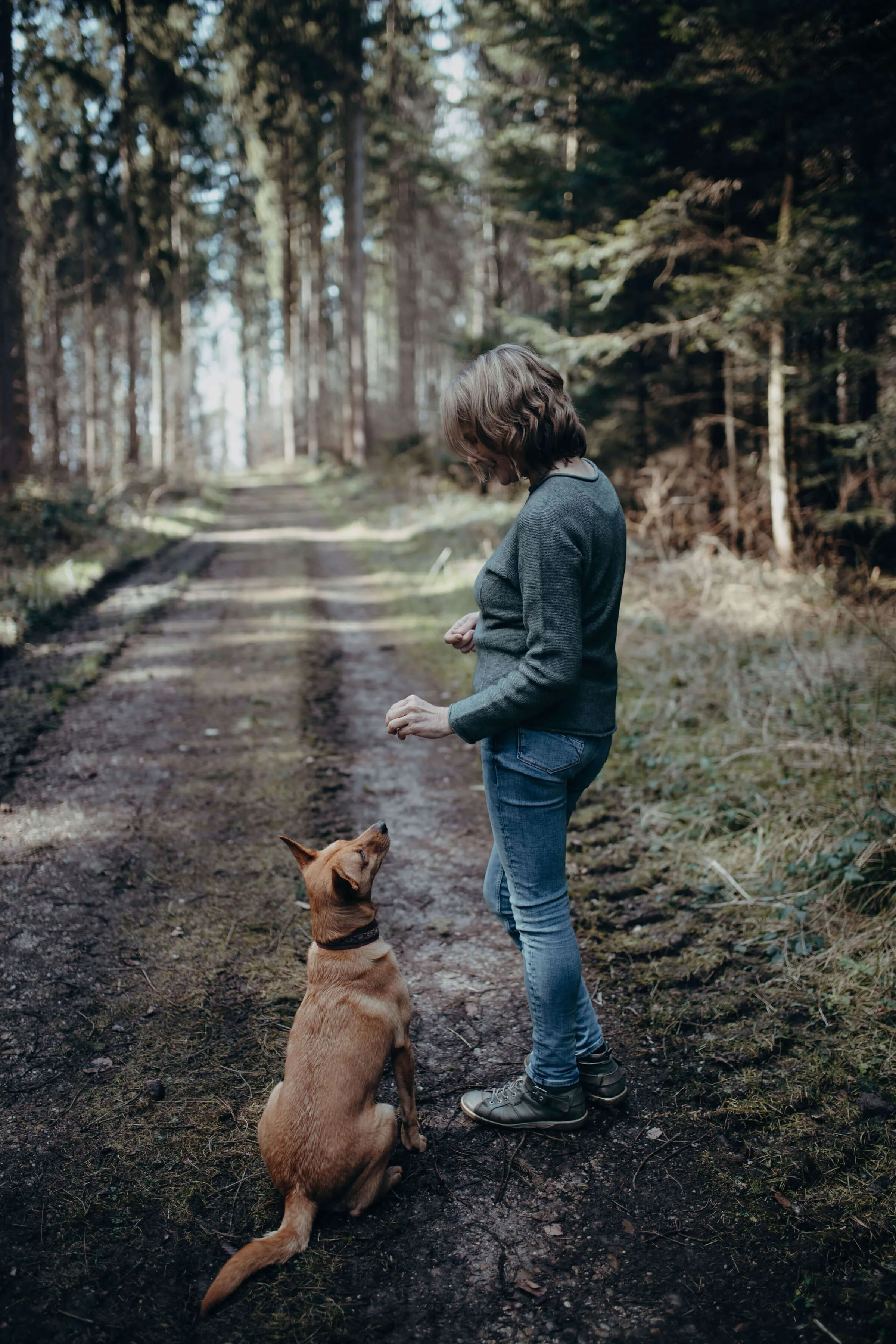 5 Ätherische Öle speziell für Hunde