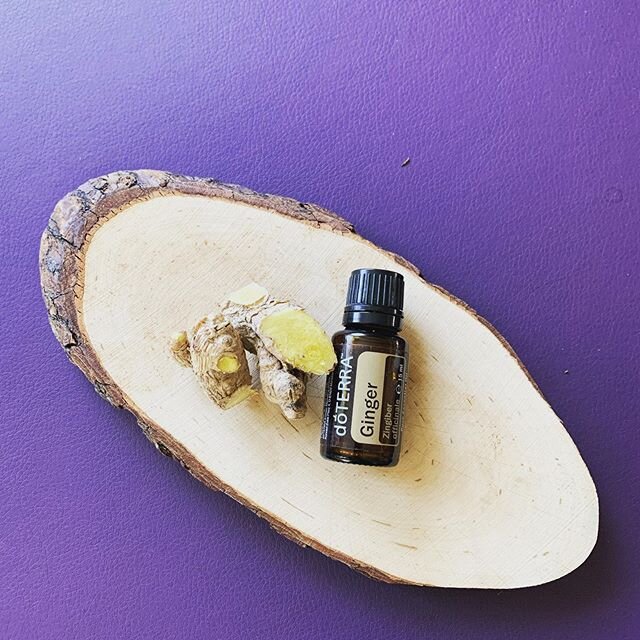 Mit meiner monatlichen  Treuebestellung bei doTerra bestelle ich auch immer ein neues &Ouml;l mit, was mir noch zu meinen &Ouml;lsch&auml;tzen fehlt. Diesen Monat ist es: 
GINGER (Ingwer)
Ich liebe den Geruch, den Geschmack von Ingwer und sch&auml;tz