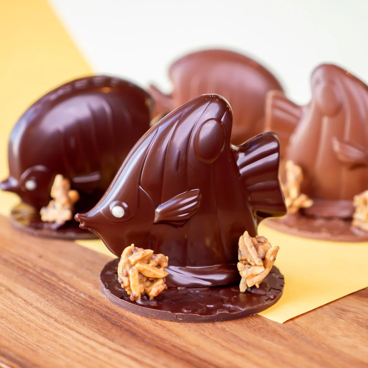 Suzon le poisson au chocolat noir 66%