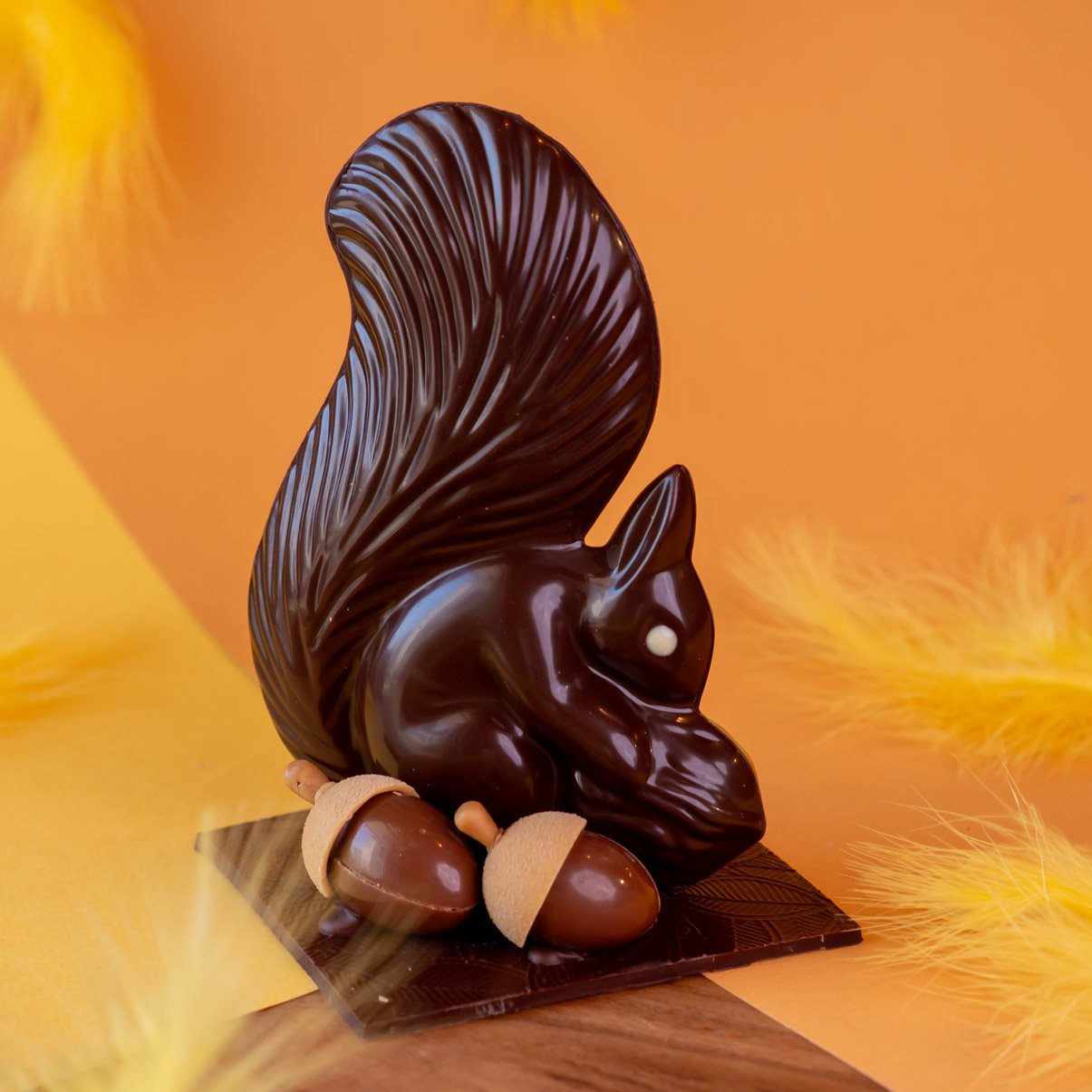 Tilleul l'écureuil 🐿️ au chocolat noir 66%