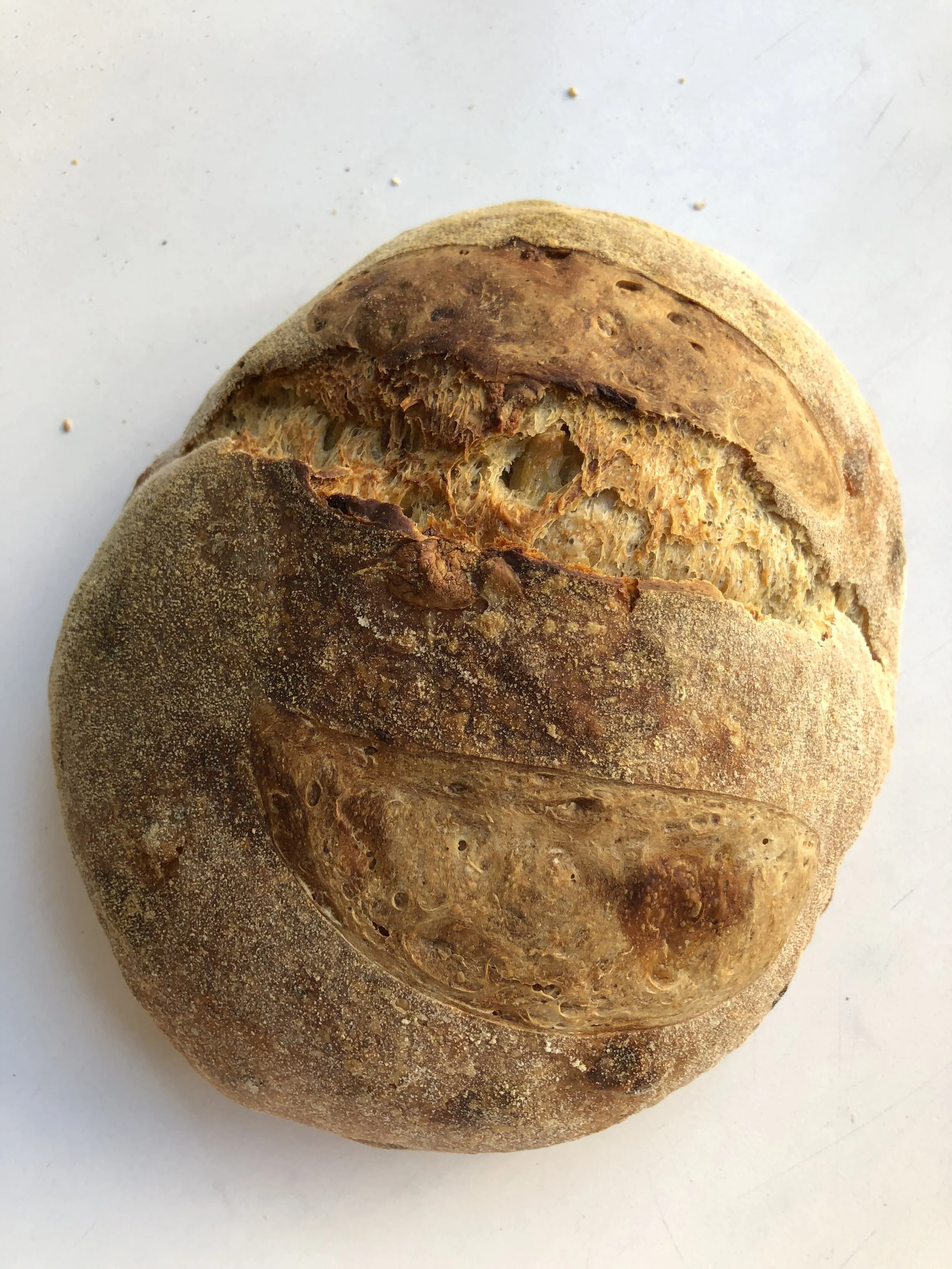 Cheese Bread (Rotation)