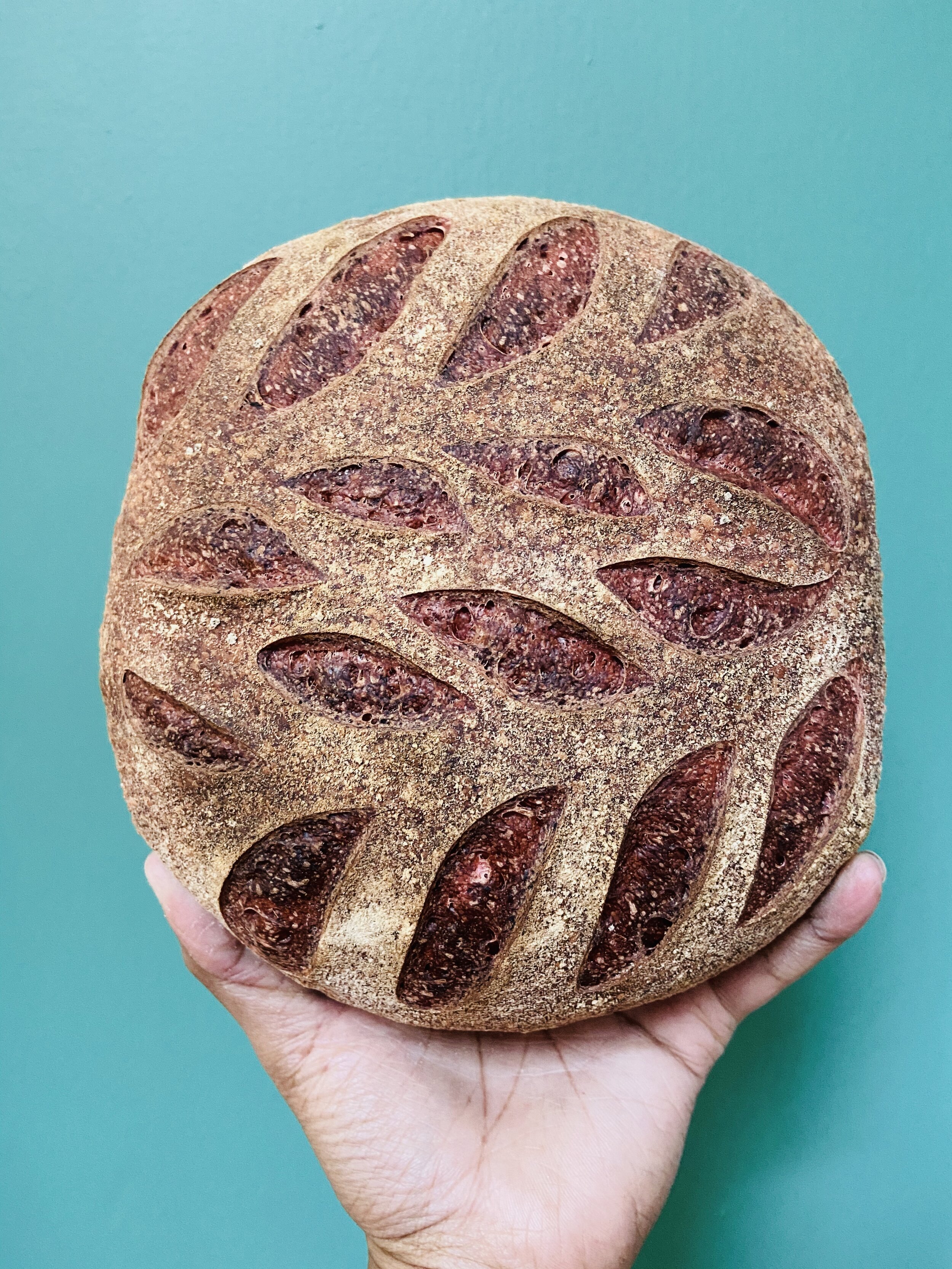 Bread Club - Fall 2024