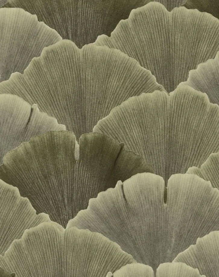 Breath, Core & Pelvic Floor Myofascial Release with Linda Green B.OST