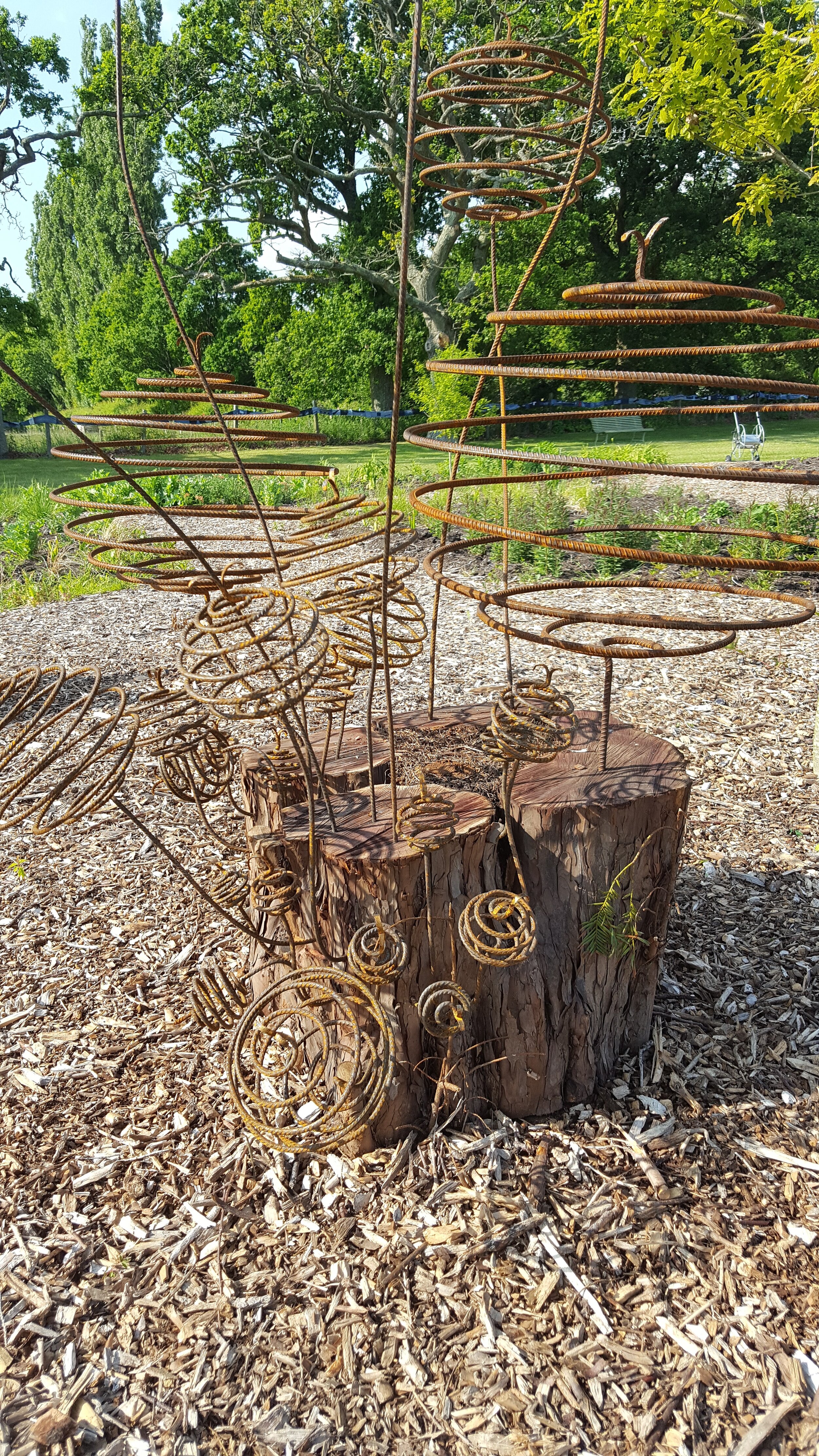 20170524_164455.jpg