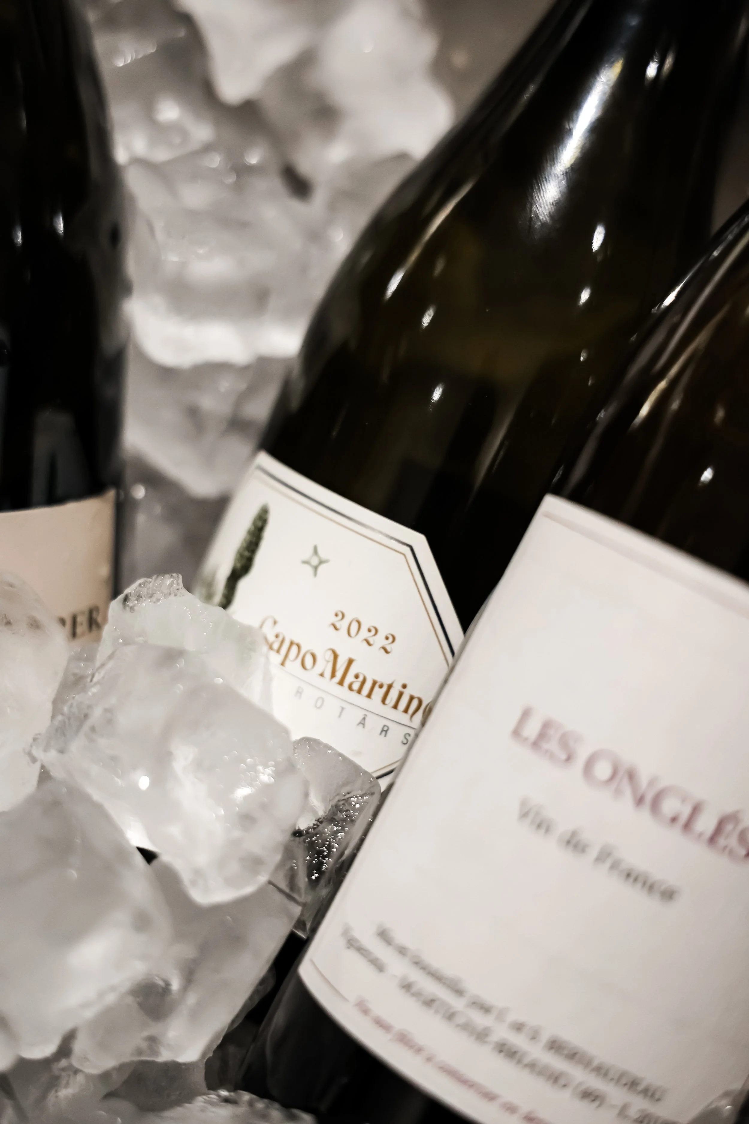 Copy of GO3A2480.jpg