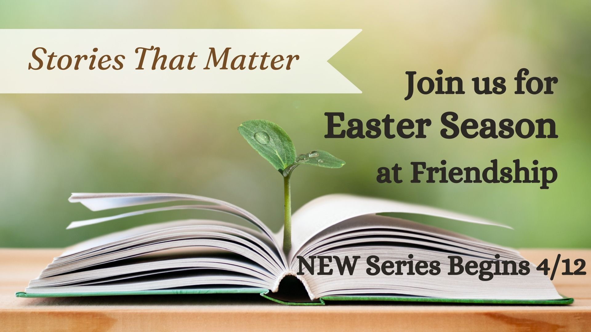 Stories series promo.jpg