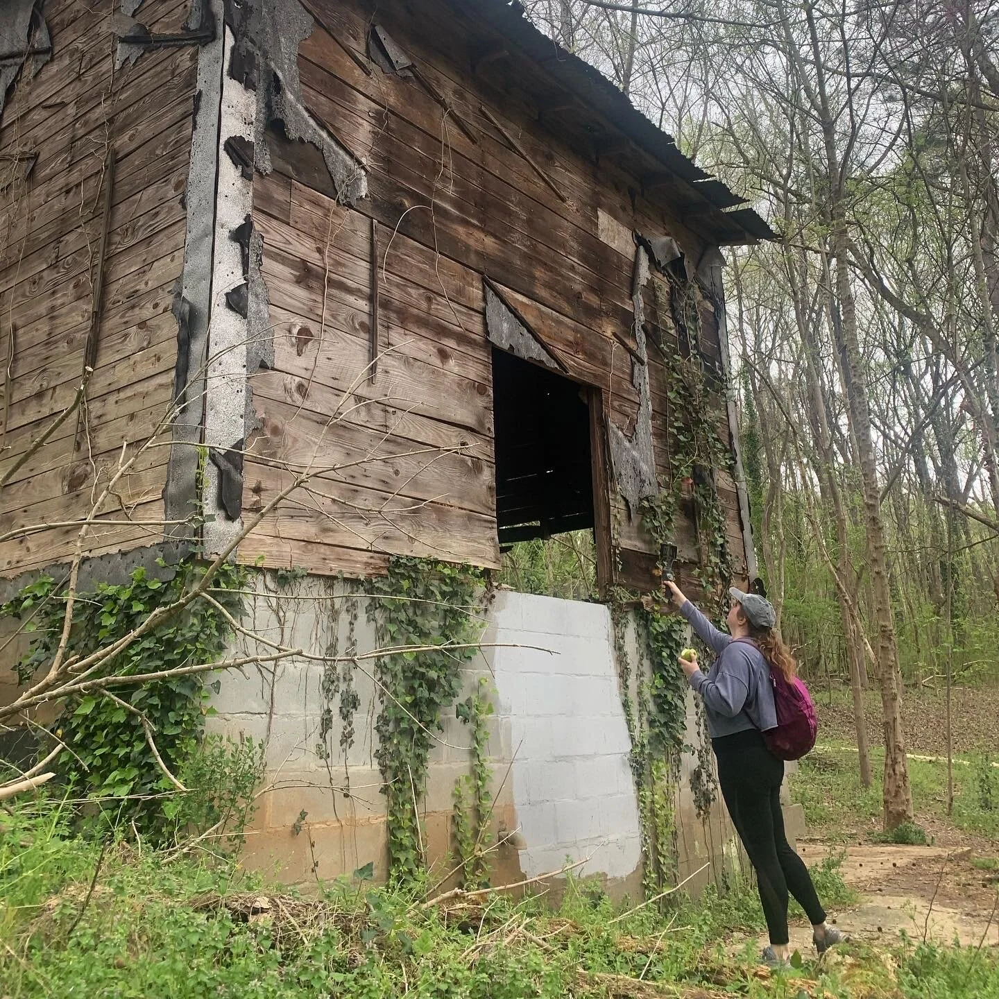 Cascade Springs Trail