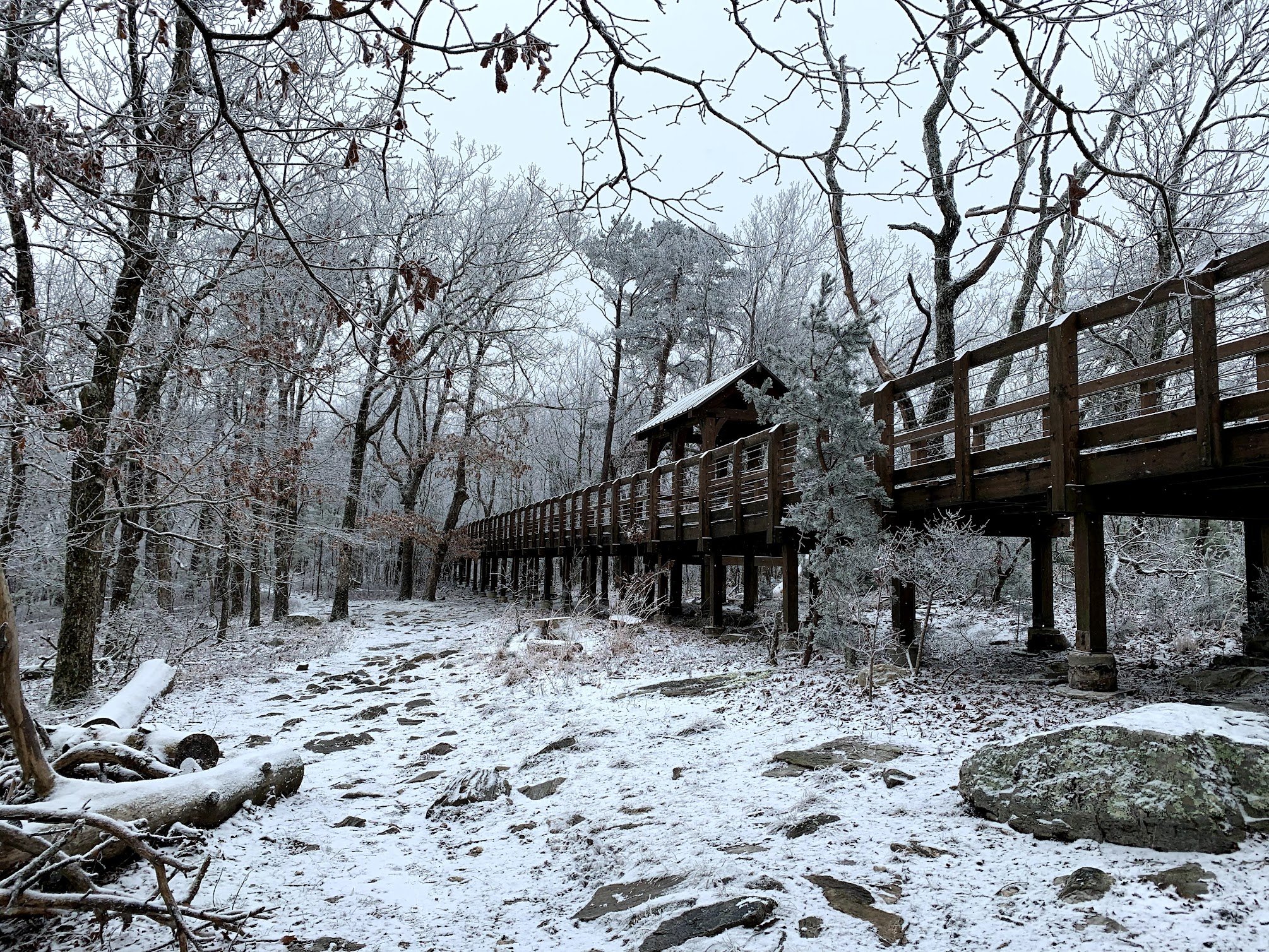 Cheaha State Park- *Snow Edition*