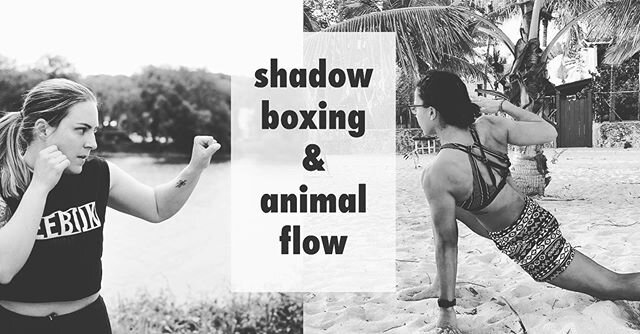 SHADOW BOXING &amp; ANIMAL FLOW FOR CHARITY⁣
⁣
Thursday 6/11 6-7pm EST⁣
⁣
Join me and @thebalancebeast for a live Zoom class combining shadow boxing and animal flow. We will be donating 100% of the profits from this class to @southendchildrenscafe . 