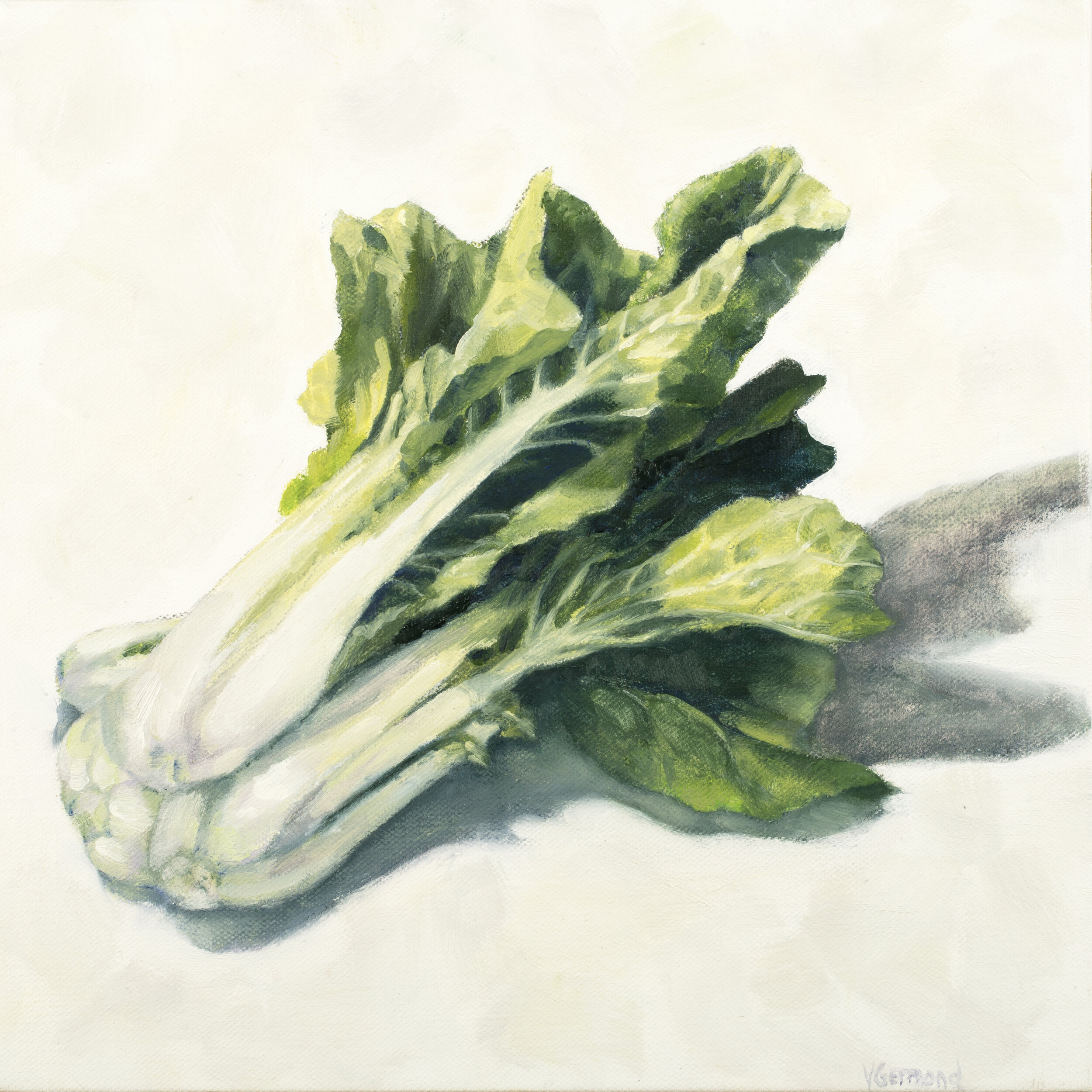 Bok Choy