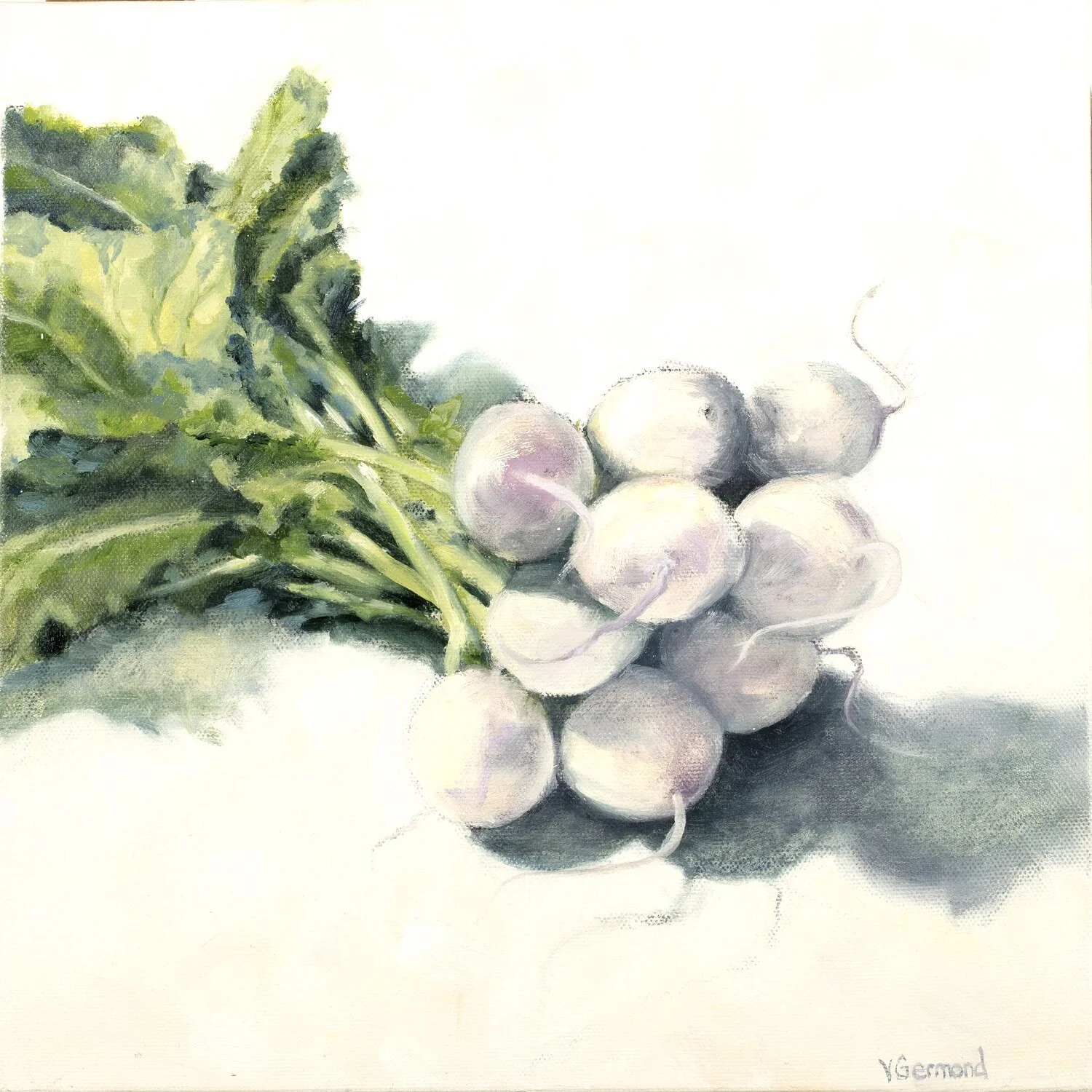 Turnips - 12"x12" Oil Painting On Wrapped Canvas