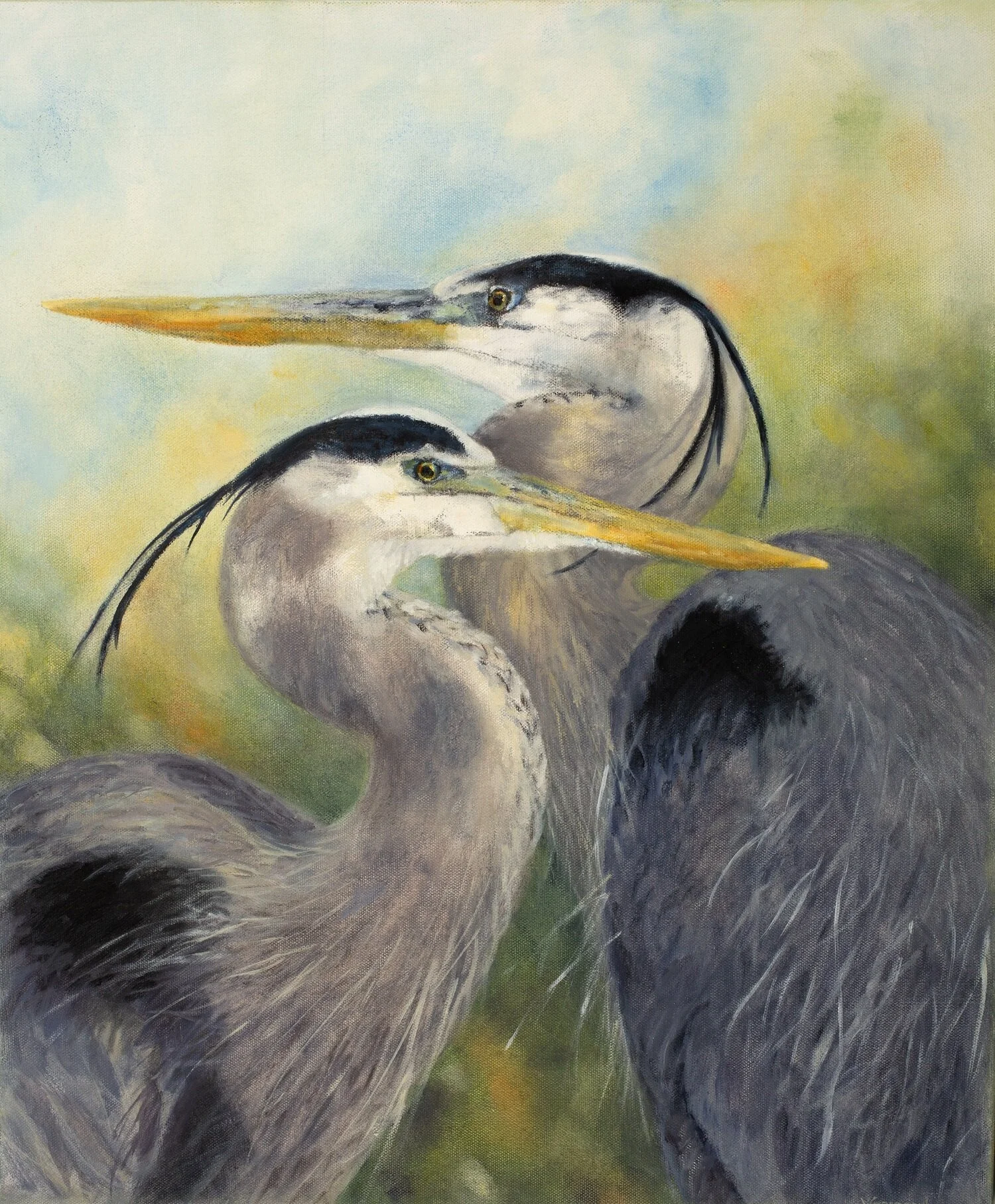 His Watch - Great Blue Herons 20"x24" Oil Painting 