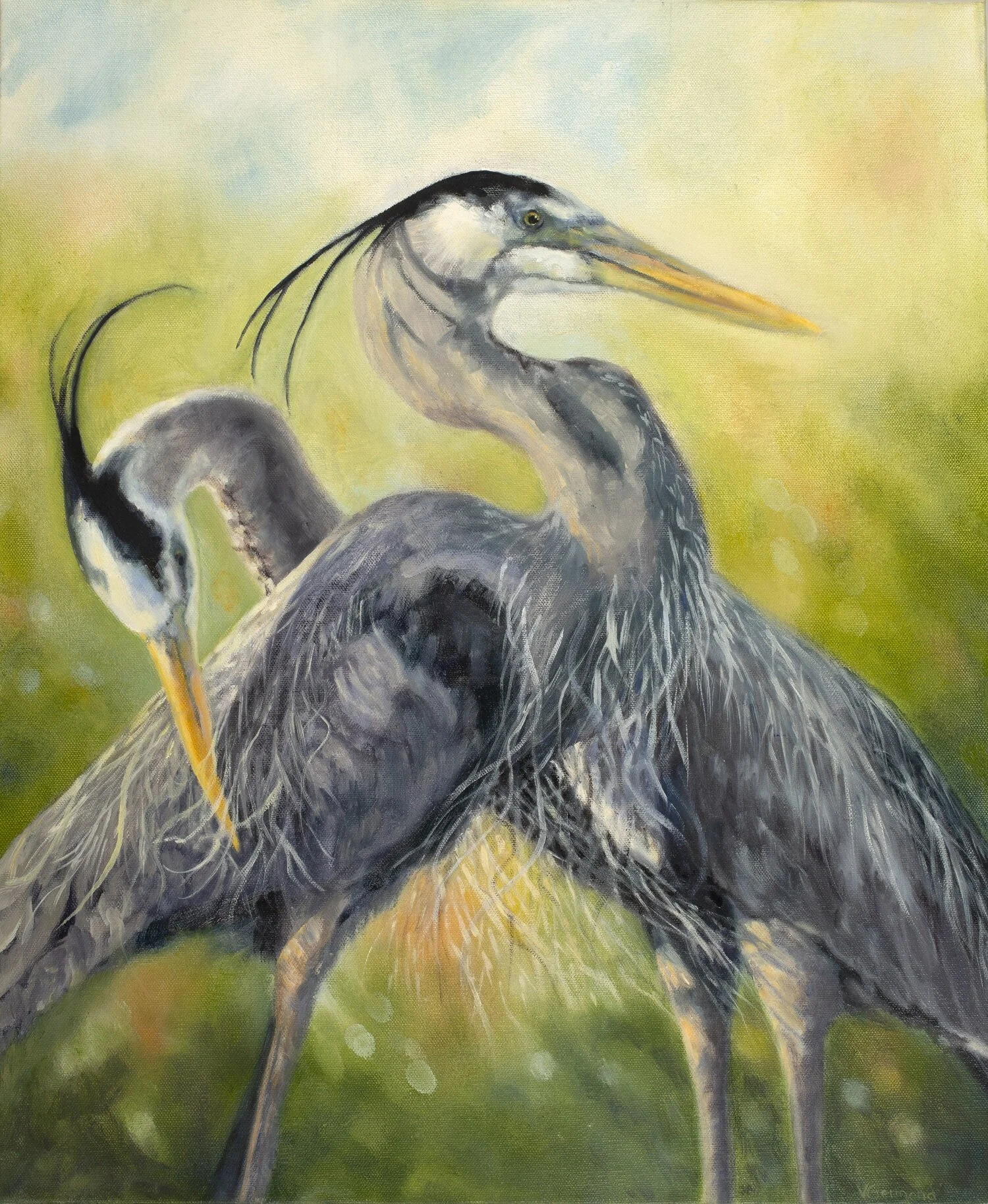 The Sunbather's - Great Blue Herons 20"x24" Oil Painting 