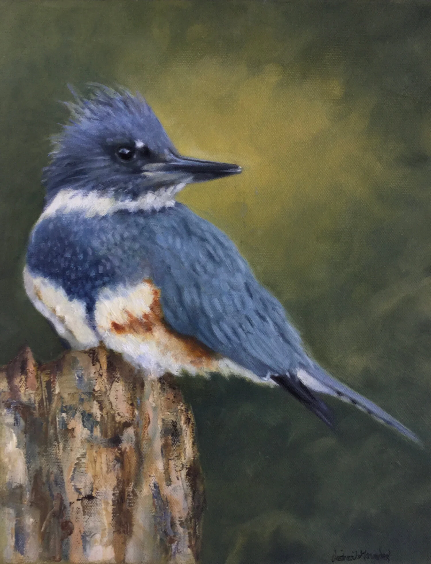 Kingfisher Bird - 12" x 15" Oil Painting on Canvas