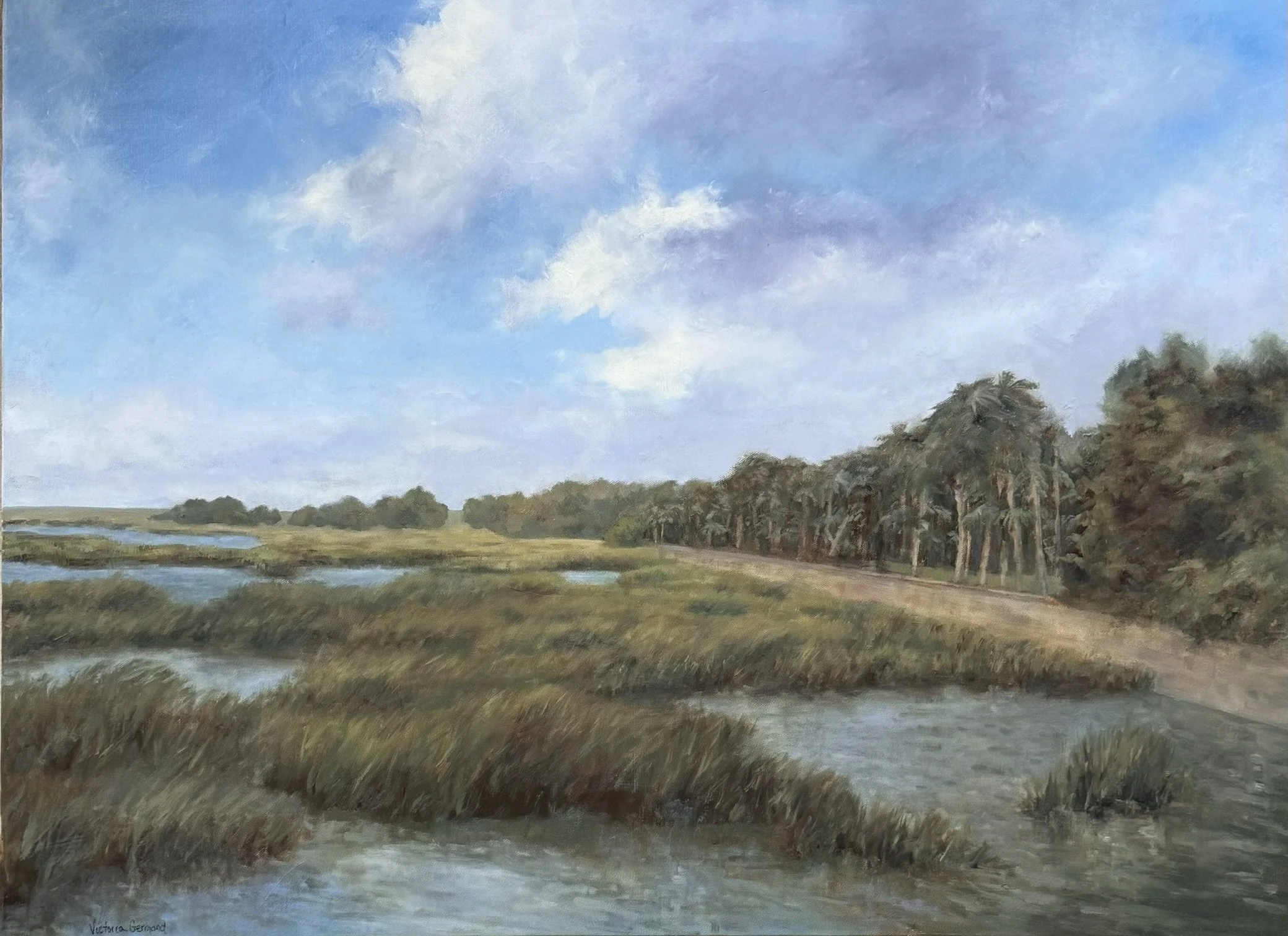 Jekyll Island Marsh