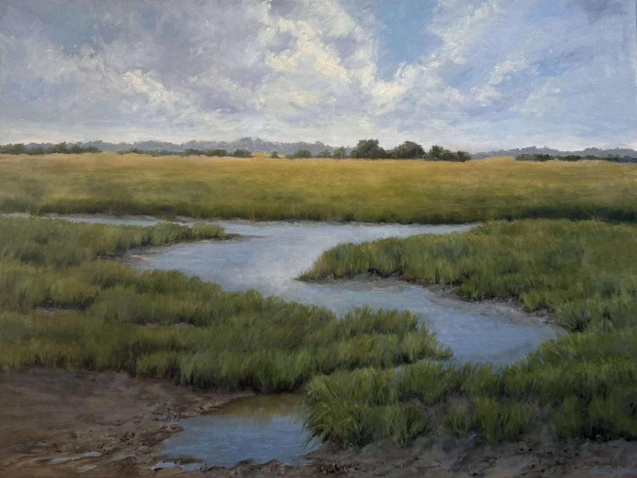 Fall Is Coming On The Marsh