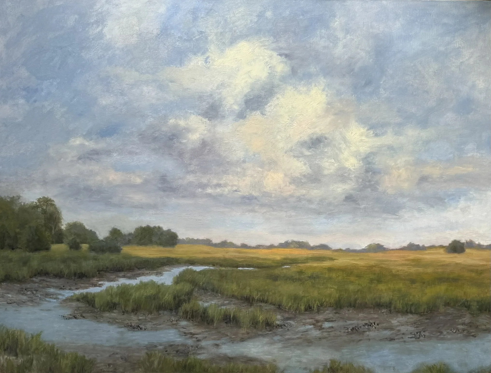 Cloud Break On The Marsh